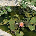 Il Castellaccio