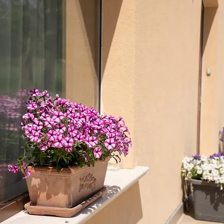 Bed & Breakfast Il Castellaccio *