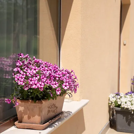 Il Castellaccio 4* Spello