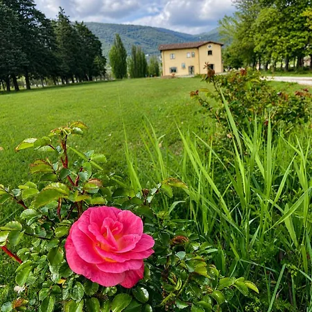 Il Castellaccio