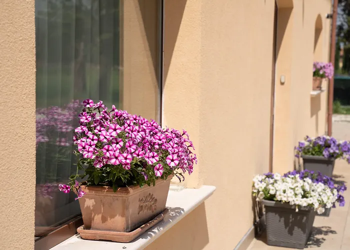 Il Castellaccio 4* 스펠로